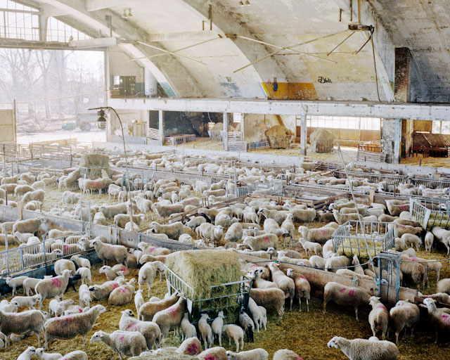 Konversion 19